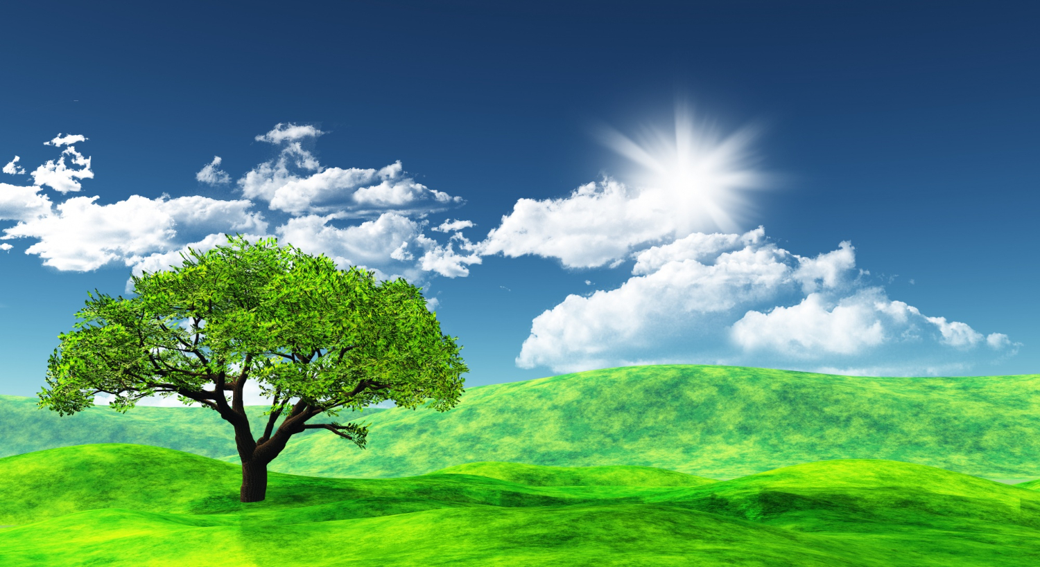 Environnement